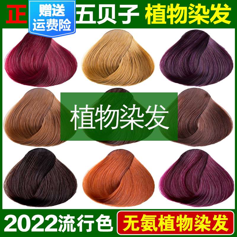 五贝子染发剂中草药植物纯天然无刺激正品品牌五倍子自己在家染发