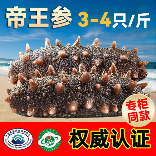 大连刺参新鲜即食海参