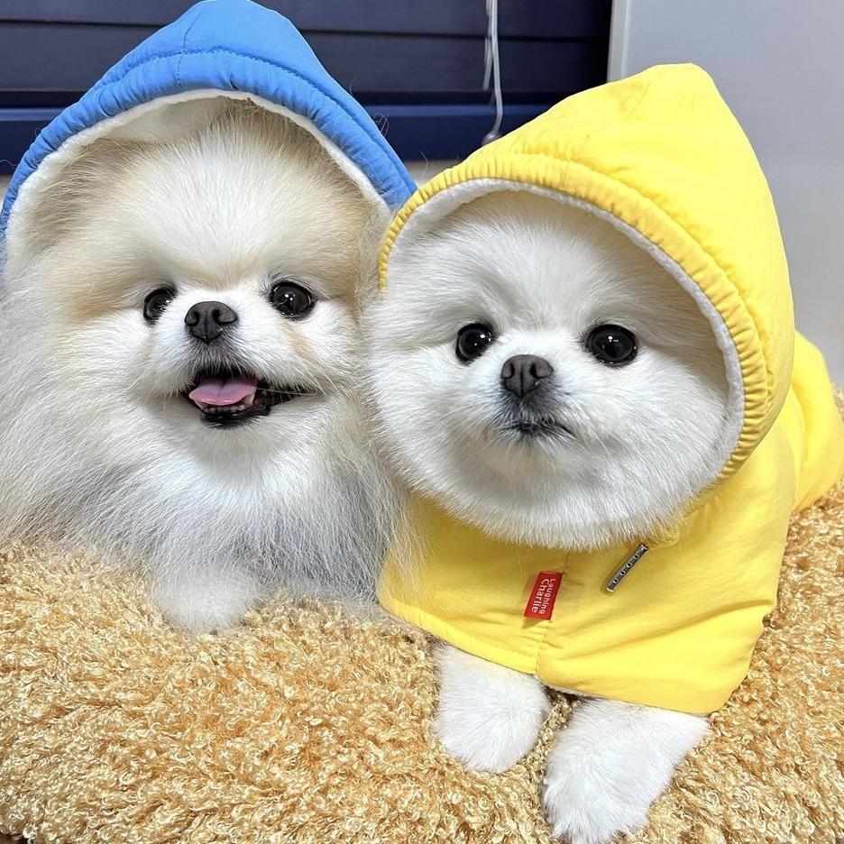 宠物衣服狗狗保暖披风棉服斗篷