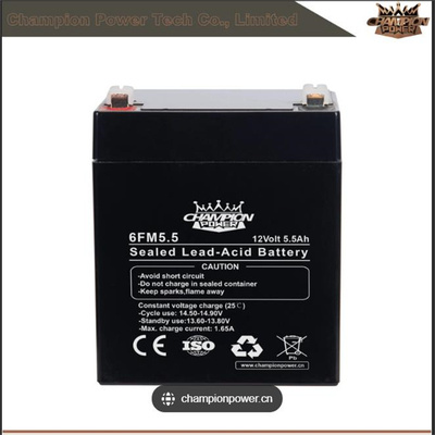 6FM5.5 12Volt 5.5AH 免维护可充电电池