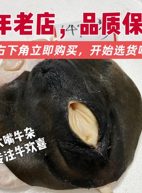 【顺丰速运】新鲜牛欢喜整套，黄牛水牛母牛生殖系统，带阴道子宫