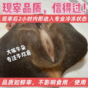 【顺丰速运】新鲜牛欢喜整套，黄牛水牛母牛生殖系统，带阴道子宫