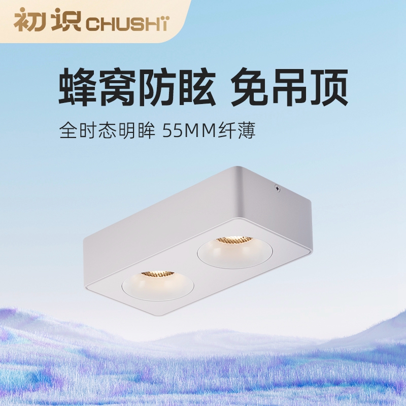 初识照明 明装超薄斗胆灯客厅极简无主灯全光谱双头四头防眩射灯