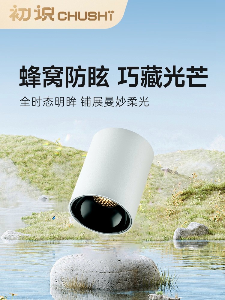 次介绍表面安装筒灯客人家大厅背景墙射灯全光谱通道入口天花板射,家装灯饰光源,明装筒灯,淘宝优惠券,粉丝福利购,淘宝优惠卷