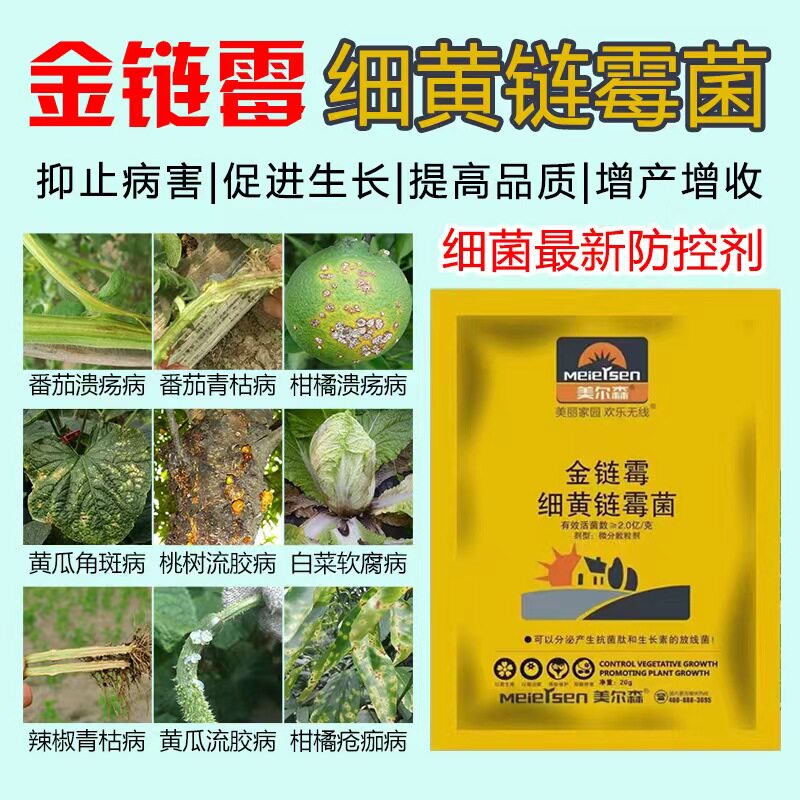农用细黄连链霉菌素番茄软腐病溃疡病青枯病细菌性病害角斑病用药