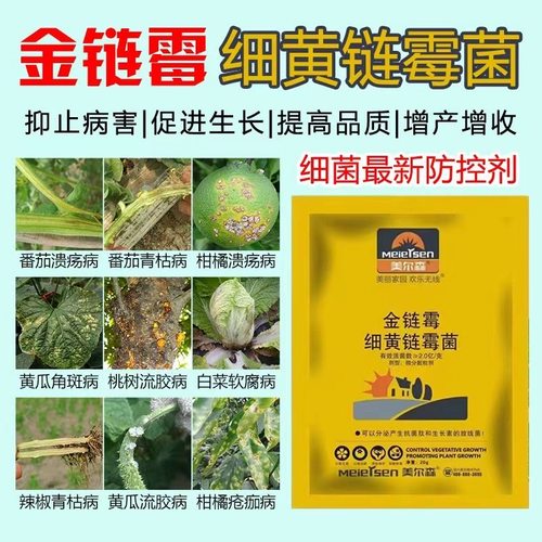 细菌性杀菌剂蔬菜番茄细菌性角斑病穿孔软腐病溃疡病流胶病专用药