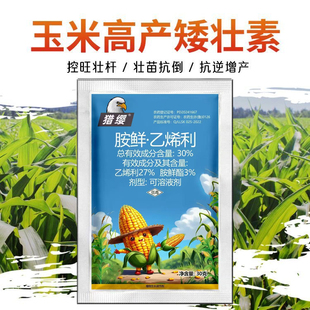 胺鲜乙烯利玉米高产矮壮素控旺剂控制旺长矮丰玉米生长调节剂农药