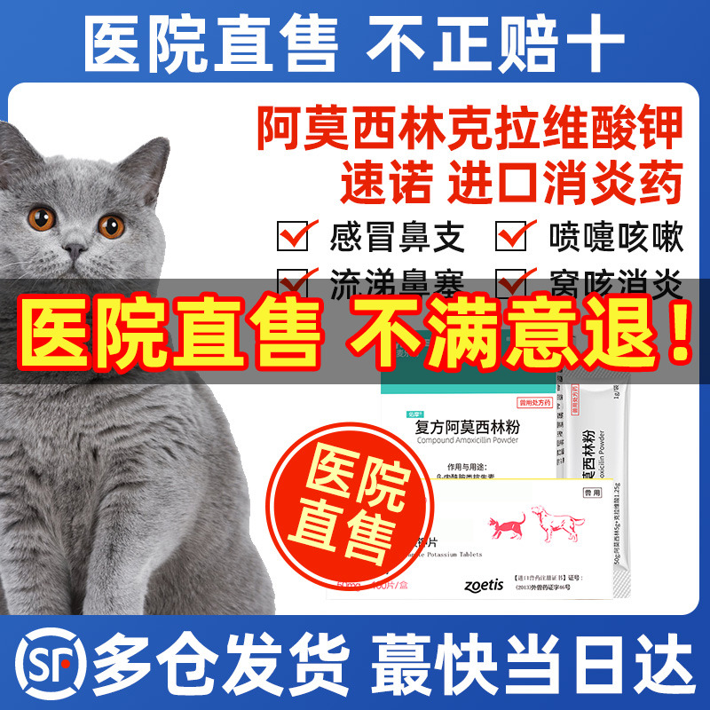 阿莫西林克拉维酸钾宠物猫咪消炎