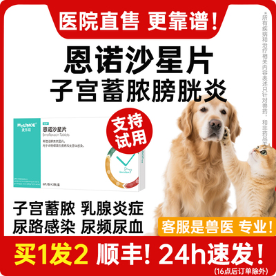 恩诺沙星猫咪子宫蓄脓乳腺炎