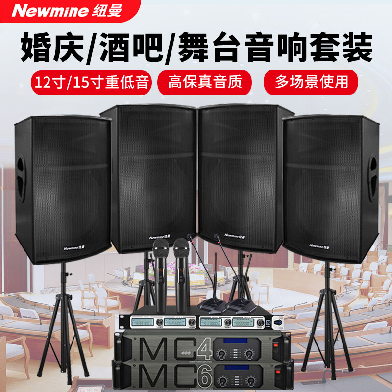 纽曼 BE-12 12/15寸大型专业演出音响设备对箱KTV会议室舞台表演