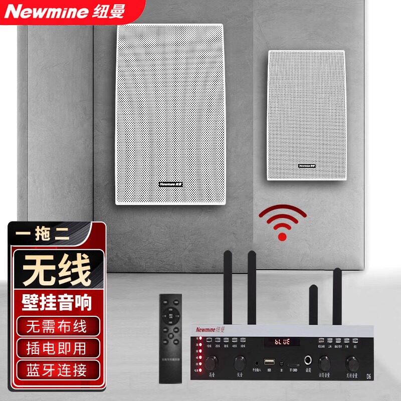 纽曼D12无线壁挂音响白色店铺用超市饭店奶茶店学校广播音箱背景