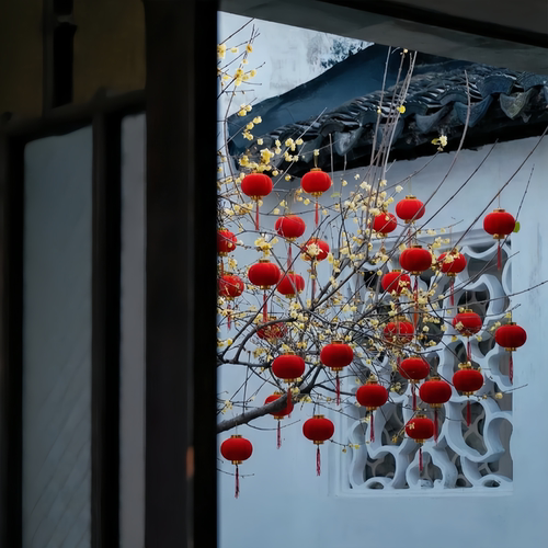 新款小红灯笼过年庭院植绒红色户外室内灯笼串挂件春节氛围小挂饰