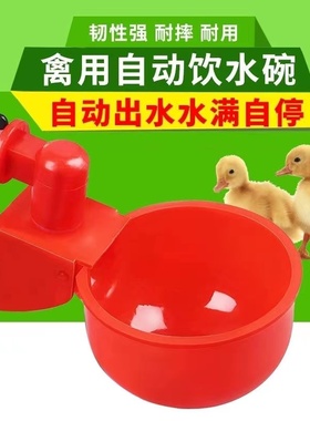鸡用自动饮水器鸡鸭鹅饮水碗喝水碗鹌鹑家禽饮水器雏鸡鸭鸟饮水器