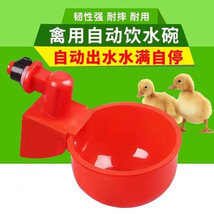 鸡用自动饮水器鸡鸭鹅饮水碗喝水碗鹌鹑家禽饮水器雏鸡鸭鸟饮水器