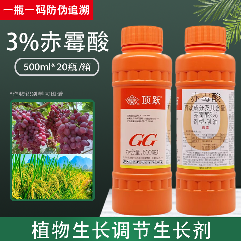 國光頂躍赤霉酸生長調節劑