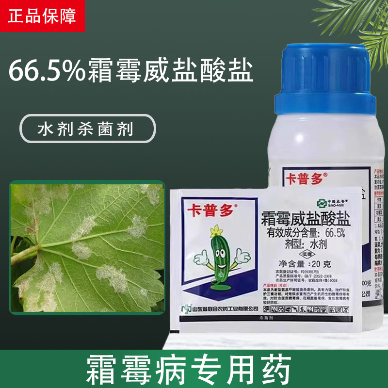 卡普多霜霉威盐酸盐农药杀菌剂