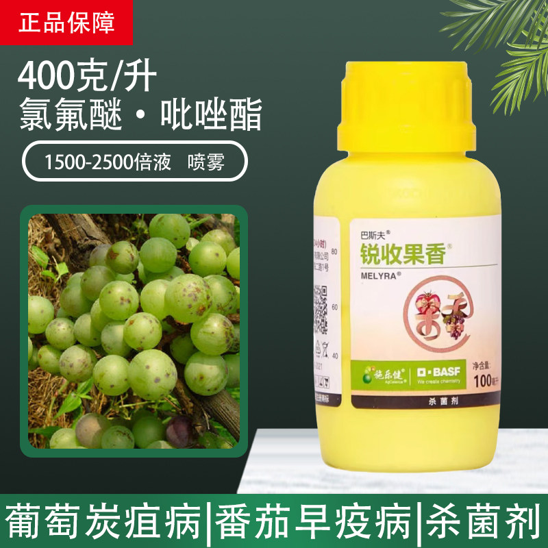 巴斯夫杀菌剂锐收果香氯氟醚吡唑酯番茄早疫病炭疽病专用药农药