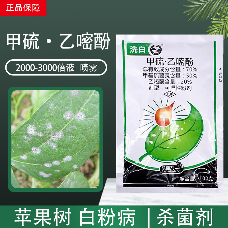 中迅洗白甲硫乙嘧吩乙嘧酚葡萄草莓苹果树白粉病专用药农药杀菌剂