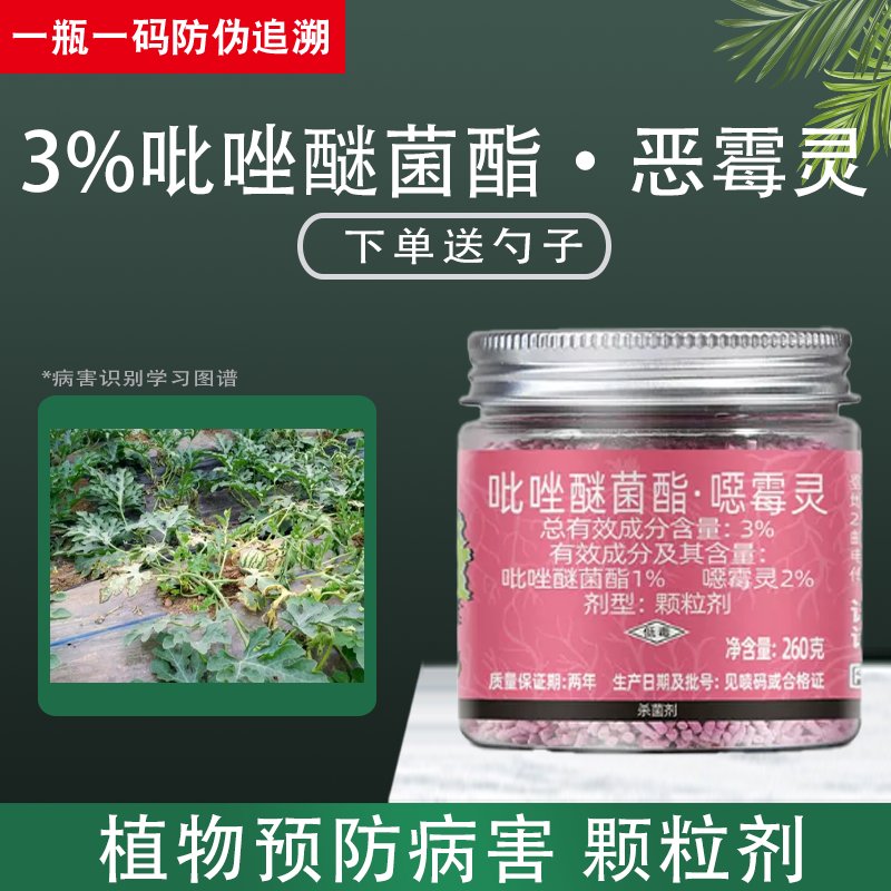 植轻松吡唑醚菌酯恶霉灵植物内吸式根部杀菌剂小粉药西瓜枯萎病药