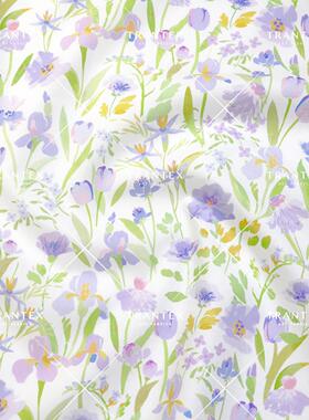 ⭐️ 鸢尾园绿色 展示链接／观看直播录屏／联系客服上定制链接