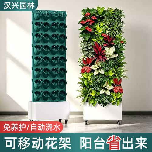 定时浇水阳台移动植物墙花架