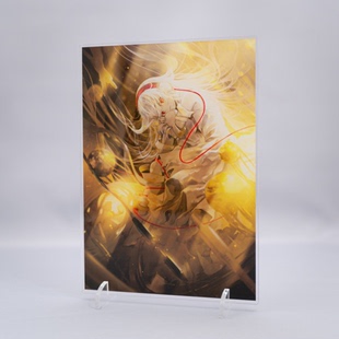 HARDCORE SYNDROME 亚克力立牌【HARDCORE TANO*C】