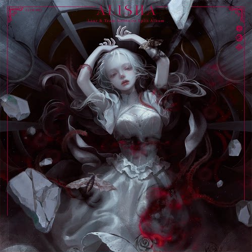 【预】ALISHA