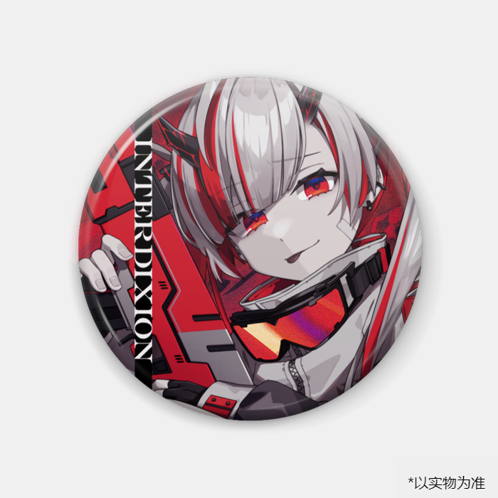 INTERDIXION 反光徽章