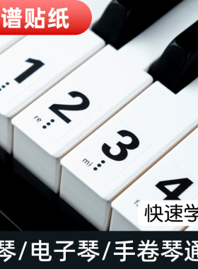 钢琴电子琴通用初学键盘贴纸