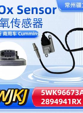 5WK96673A2894941NOxSensorcummins康明斯氮氧传感器