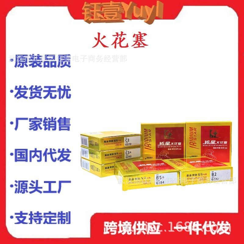 跨境火花塞Torch铱铂金火星塞适用于奥奔宝马系列A1A2A3B2
