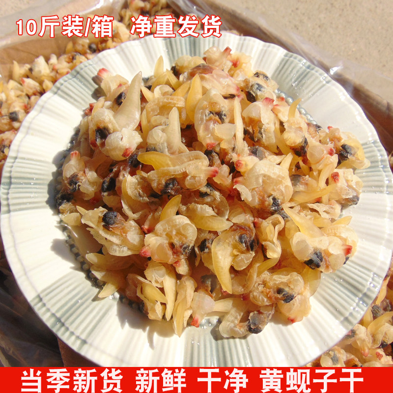 【10斤】装花甲干蛤蜊干大黄蚬子干净重包邮花蛤肉大号蚬子肉