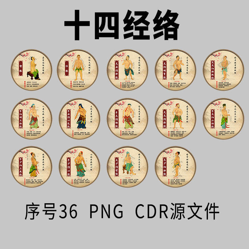 人体十四经络穴位十二高清图电子版矢量PNG编辑CDRcdr源文件素材