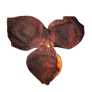 橘珍堂新会陈皮 十五年陈藏正宗新会老陈皮干茶20年广东江门特产