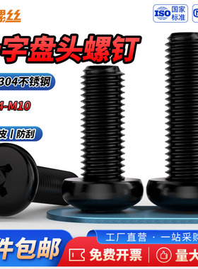 JS黑色304不锈钢十字圆头小螺丝螺钉盘头加长螺栓M2M3M4M5M6M8M10