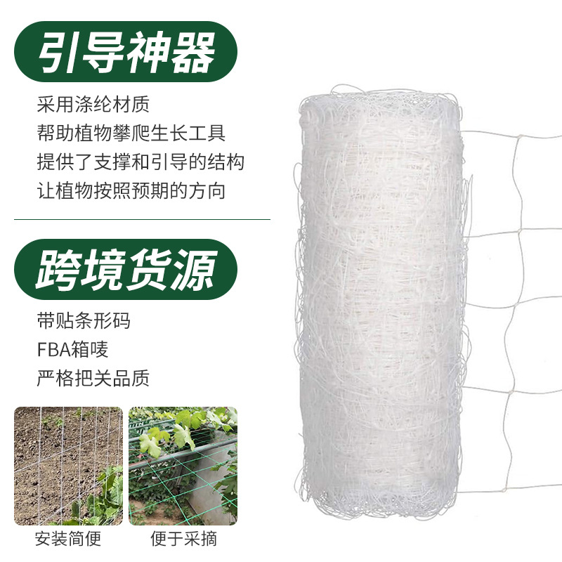 涤纶白色爬藤网园艺格子网