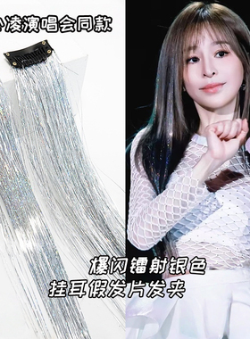 银色流苏发夹女爆闪金属片长条形挂耳假发发饰演唱会应援银丝发夹