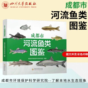 成都市河流鱼类图鉴 四川珍稀鱼类图谱 长江上游特有鱼种研究成都市环境保护科学研究院 著9787569077995四川大学出版社