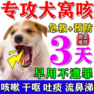 窝咳净犬窝咳特专用药狗狗感冒干呕咳嗽流鼻涕幼犬抗病毒宠咳康