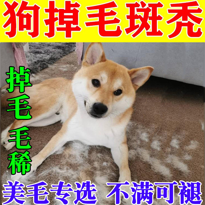 狗狗掉毛专用宠物掉毛吃什么掉毛严重护毛增毛剂防脱毛卵磷脂片