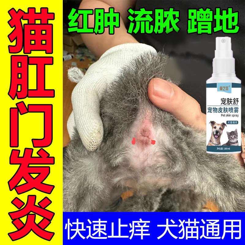 猫屁股发炎红肿狗狗肛门腺炎膏肛周红肿屁股蹭地猫咪肛门腺炎