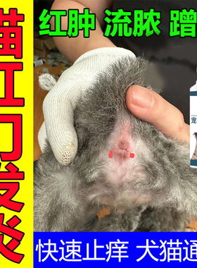 猫屁股发炎红肿狗狗肛门腺炎膏肛周红肿瘙痒屁股蹭地猫咪肛门腺炎