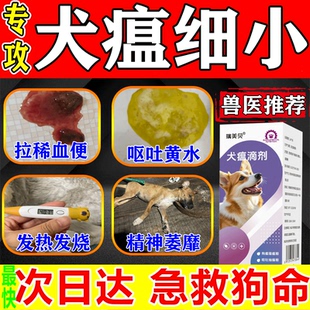 狗细小病毒专用特效犬瘟单抗干扰素翻肠子发热拉血呕吐厌食没精神