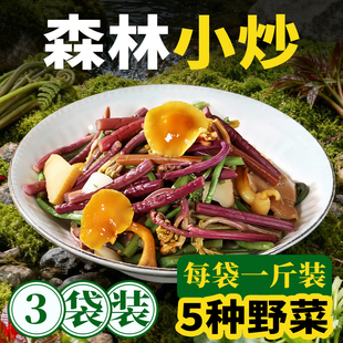 东北特产森林小炒2025头茬山野菜滑子蘑灰平菇杏鲍菇红猴腿蕨菜