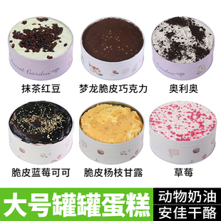 网红罐子蛋糕罐子动物奶油甜品罐子蛋糕奶酪罐子蛋糕