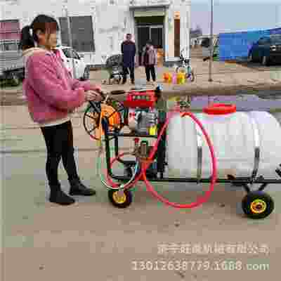 用手推打药机消汽油手推拉农管道打药机街毒手推打药机