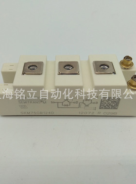 SKM500GA123DS/SKM500GA123D/SKM500GA124D/SKM500GA128D