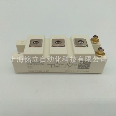 SKM500GA123DS/SKM500GA123D/SKM500GA124D/SKM500GA128D