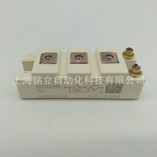 SKM500GA123DS/SKM500GA123D/SKM500GA124D/SKM500GA128D