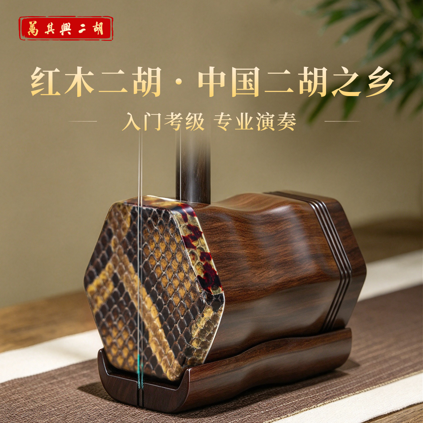 万其兴二胡乐器初学者入门老年人小学生儿童考级二胡十大名牌红木